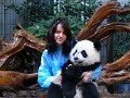 Pandas (007)